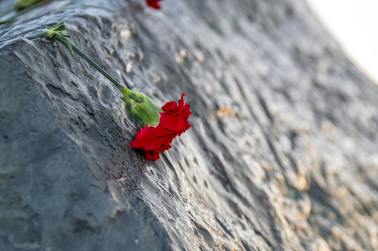 Funeral Background Purple Images – Browse 2,630 Stock Photos, Vectors