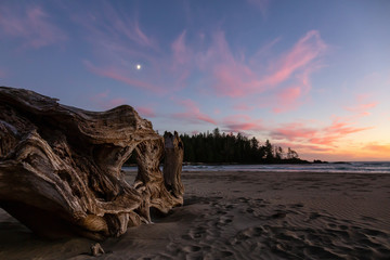 Fototapeta premium Beautiful sandy beach on the Pacific Ocean Coast during a vibrant summer sunset. Taken in Raft Cove Provincial Park, Northern Vancouver Island, BC, Canada.