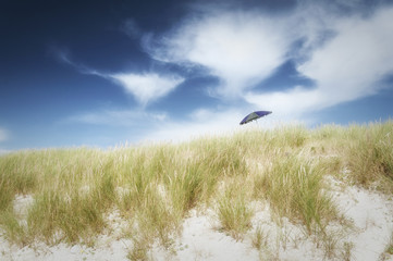 The dune with an umbrella