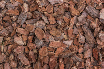 landscape exterior design concept of big pieces of brown wooden sawdust background texture, copy space