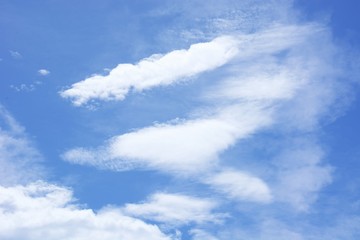 Autumn scenery background / Blue sky and white clouds