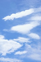 Autumn scenery background / Blue sky and white clouds