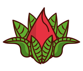 Lotus flower cartoon