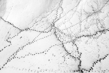 pathways in white salt lake in drone view