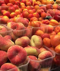 market display of peaches, apricots and nectarines