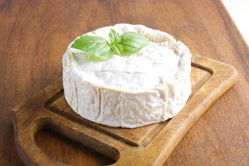 cheese brie on a wooden board