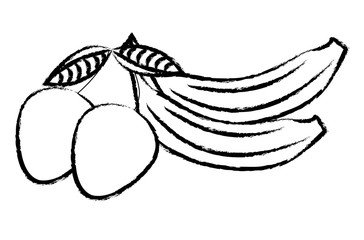 Naklejka premium Bananas and mangos sketch