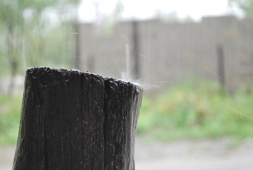 Gotas