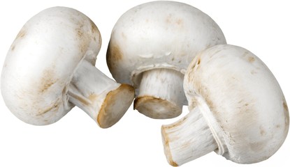 Three Champignons Mushrooms - Isolated