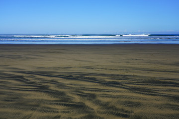 View of the black sand Te Henga (Bethells Beach) near Auckland in the North Island, New Zealand