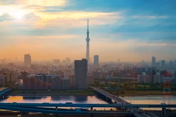 Foto op Plexiglas Tokyo, Japan - 25 april 2018: Schilderachtig uitzicht op de stad Tokyo, de hoofdstad van Japan © coward_lion
