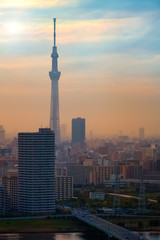 Fototapeta na wymiar Tokyo, Japan - April 25 2018: Scenic view of the city of tokyo, the capital city of Japan