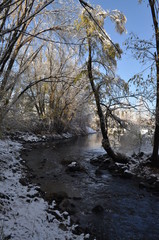 Winter creek