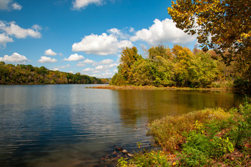 autumn landscape with lake and trees
