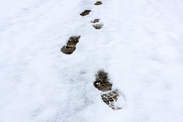 Footprints in the snow