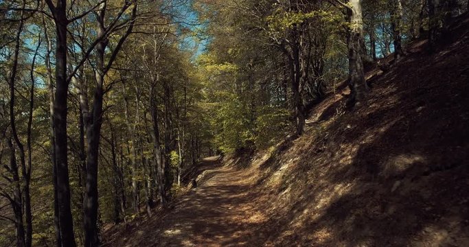 A view of the dirt trekking road surrounded by trees looking like a fairy tale road. Shot in Italy with a Drone