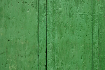 Green Painted Wooden Surface for Backgrounds