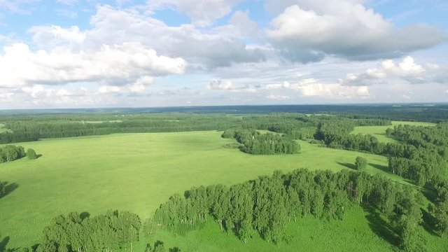 flying over a green field and birches, trees