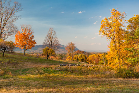 autumn landscape with trees and blue sky