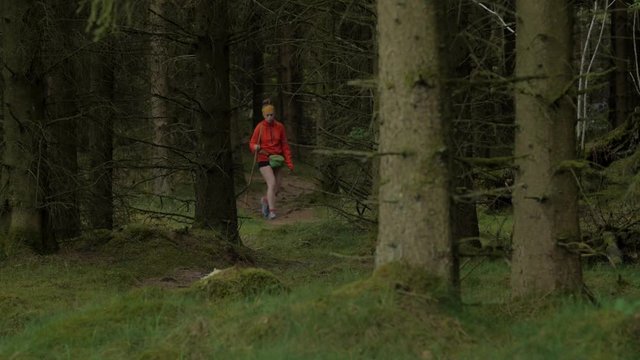 female hiker walking on a trail in the woods, walkin in the freame, wide shot on a long lens