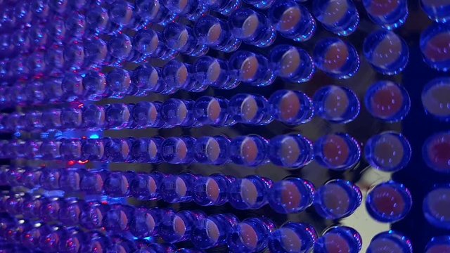 Close Up of Rows of LED Light Bulb Diodes
