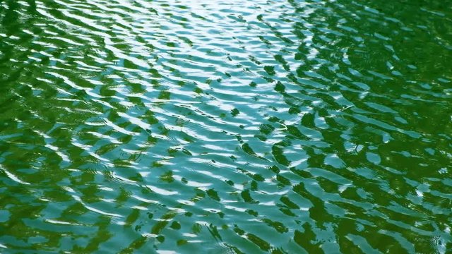 A calm wind on water