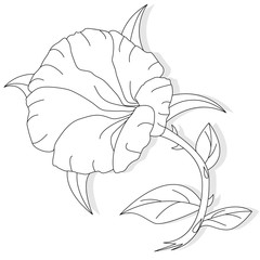 Vector artwork of coloring page for adult. Fantasy flower illustration.