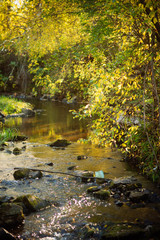 natural background: autumn landscape-forest stream with clear water in the sun