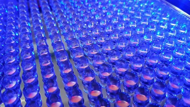 Close Up of Rows of LED Light Bulb Diodes