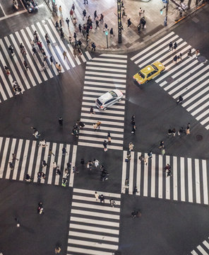 The intersection in Tokyo, Night day