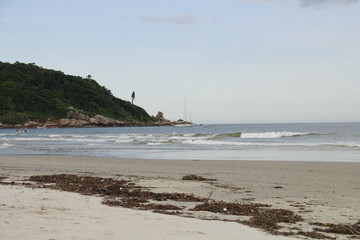 Brazilian Beaches