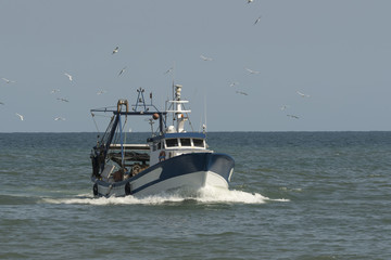 Barco azul y gaviotas