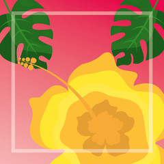 flower hibiscus palms tropical leaves