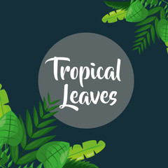 natural label gray background tropical leaves