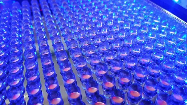 Close Up of Rows of LED Light Bulb Diodes