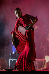 Woman dancing flamenco in a performance on a stage