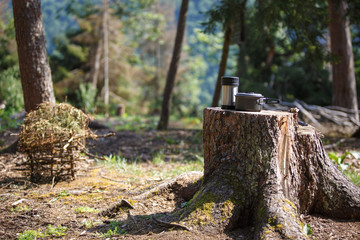 Camping in nature, in the mountains of Georgia, Borjomi in summer