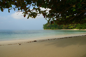 tropical beach. Andaman Islands. beach number 7. Havelock Island