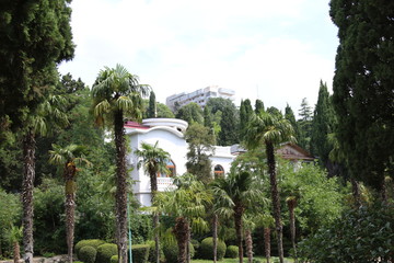 Fototapeta na wymiar Modern architecture in the palm park