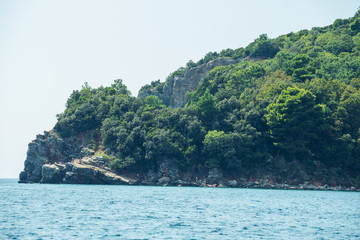 Obraz premium Beautiful seascape and trees