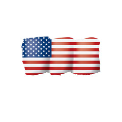 USA flag, vector illustration on a white background