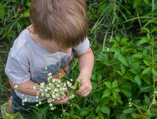 A little boy is holding a bouquet of wildflowers.