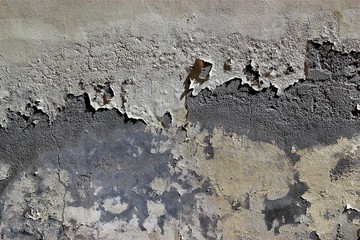 Arrière-plans.