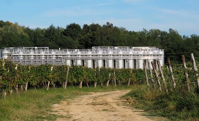 Stainless steel wine  fermentation tanks among the vineyards with a country road in front