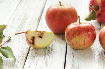 Apfel Schädling Apfelstück Apfelspalte verschiedene Äpfel Schadlingsbefall Schädlinge 