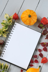 Autumn mockup.empty notebook with pumpkins, physalis and autumn leaves on a gray wooden  background.top view, copy space. Autumn season. 