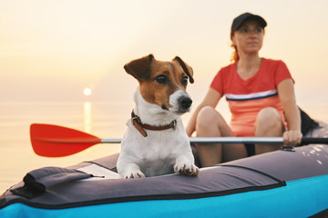 Red-haired young woman is rowing on an inflatable kayak by the sea with a dog Jack Russell Terrier on a background of pink sunrise in beautiful nature. Great disk of the rising sun. Sun rays. Sport