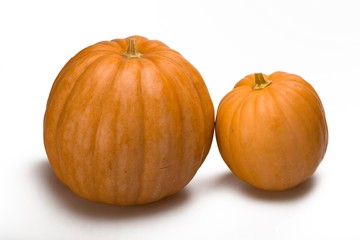 Two Large Pumpkins