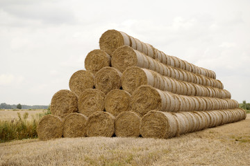 Bales of hay on field