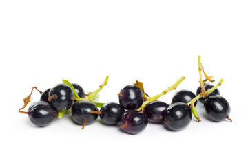 Berries black currant with green leaf. Fresh fruit, isolated on white background.
